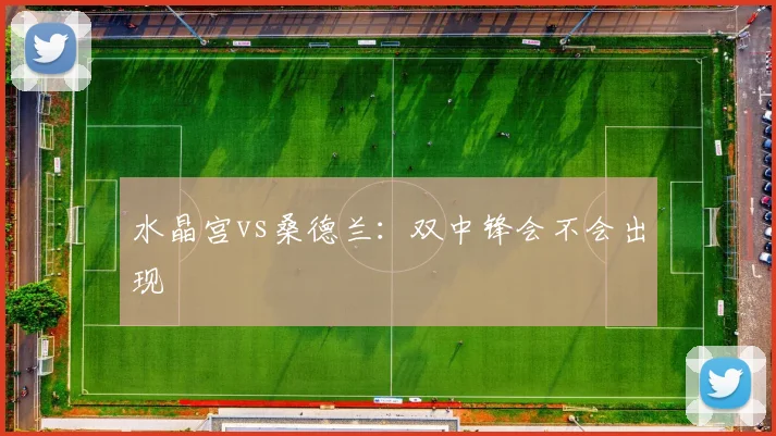 水晶宫vs桑德兰：双中锋会不会出现