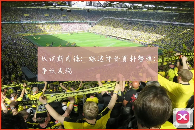 认识斯内德:球迷评价资料整理:争议表现