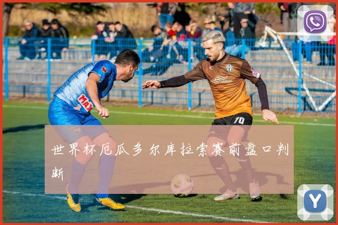 世界杯厄瓜多尔库拉索赛前盘口判断