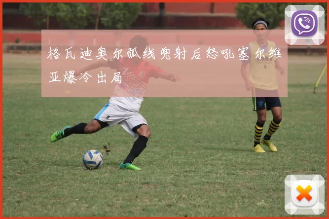 格瓦迪奥尔弧线兜射后怒吼塞尔维亚爆冷出局