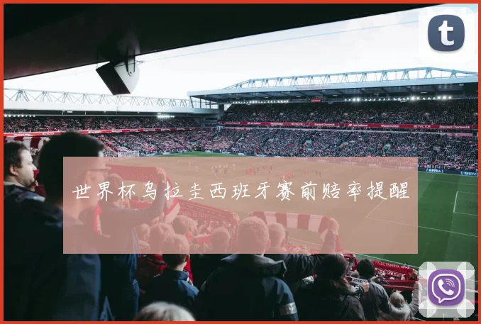 世界杯乌拉圭西班牙赛前赔率提醒